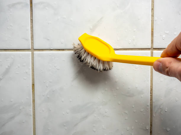 Best Office Mold Removal Services  in Green Oaks, IL