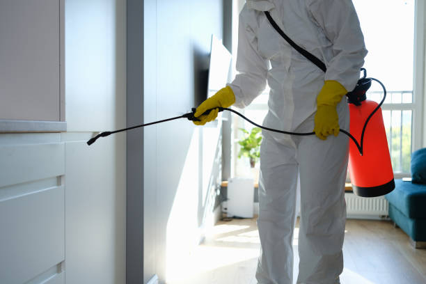 Best Attic Mold Removal  in Green Oaks, IL