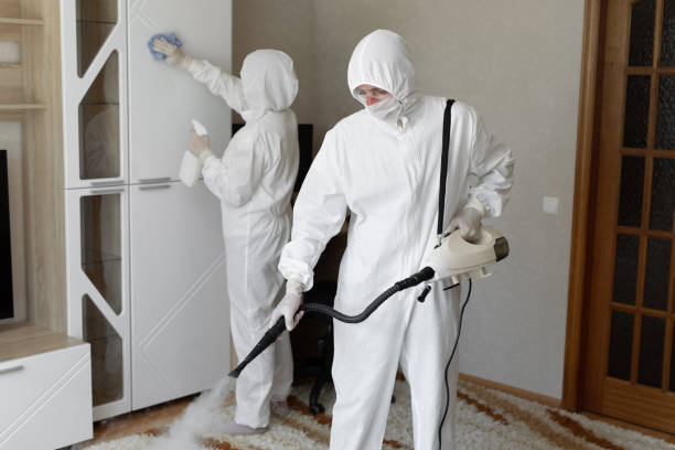 Mold Removal and Inspection in Green Oaks, IL