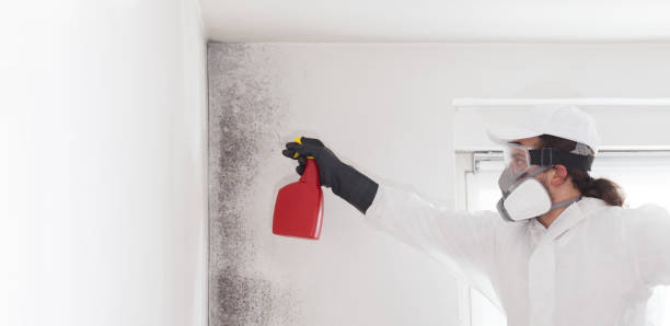 Best Fast Mold Removal  in Green Oaks, IL