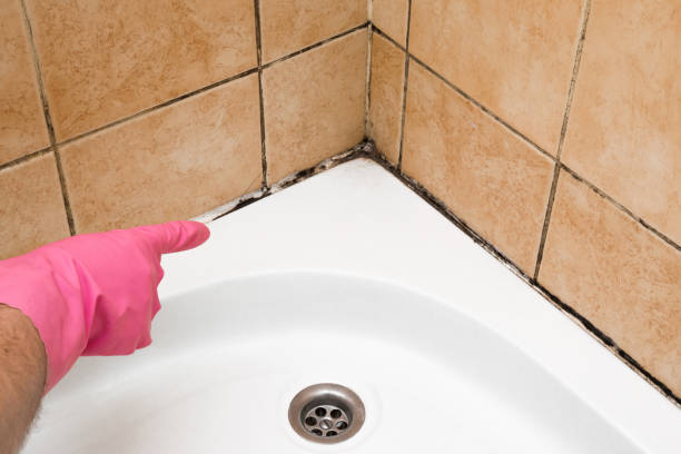 Best Emergency Mold Removal  in Green Oaks, IL